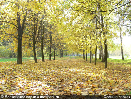 Осень в парках Москвы