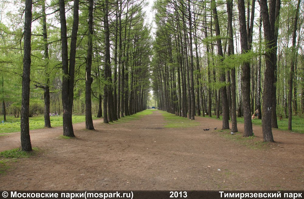 Тимирязевский парк 2013